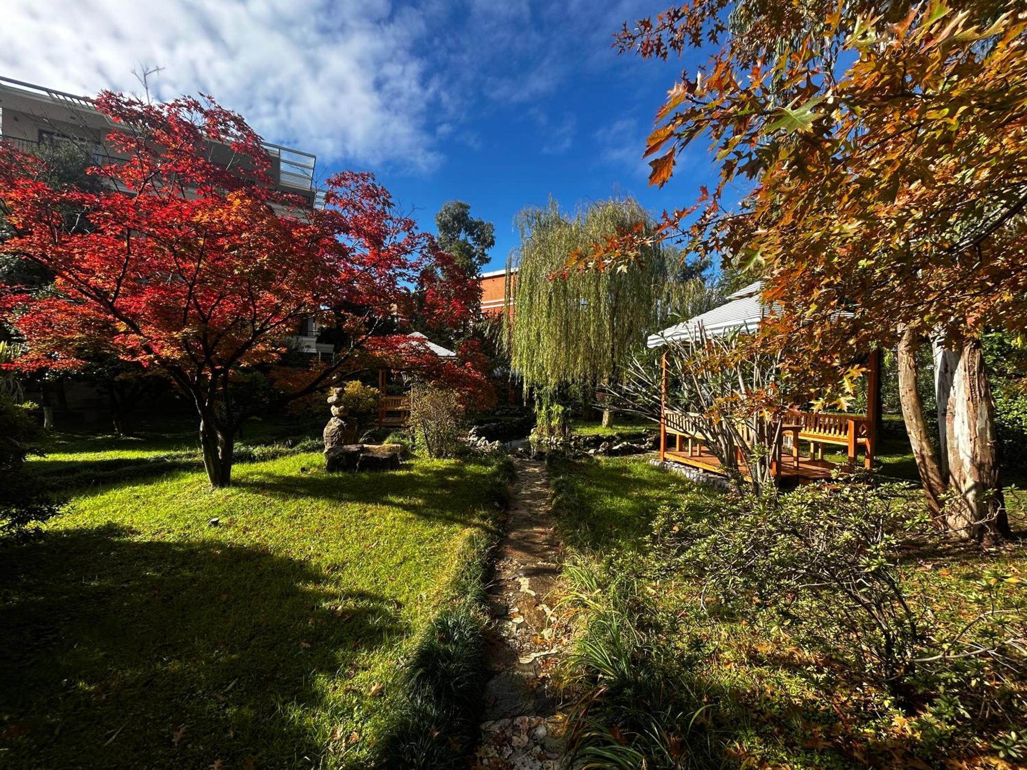 Cемейный Номер С Балконом На 4 Чел Dreamland Oasis Chakvi Exterior photo